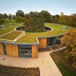 Green roofs and living walls